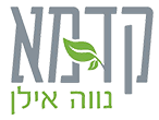 קדמא